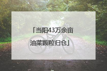 当阳43万余亩油菜颗粒归仓