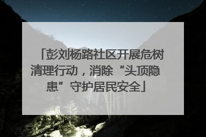 彭刘杨路社区开展危树清理行动，消除“头顶隐患”守护居民安全