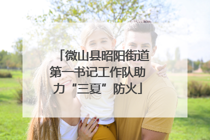 微山县昭阳街道第一书记工作队助力“三夏”防火