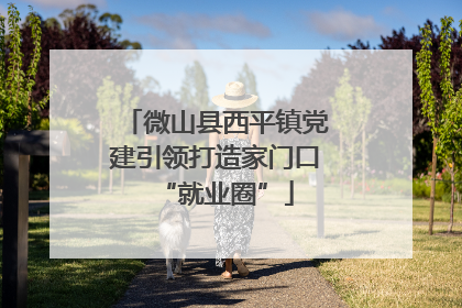 微山县西平镇党建引领打造家门口“就业圈”