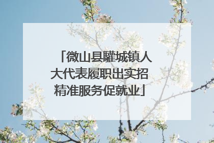 微山县驩城镇人大代表履职出实招精准服务促就业