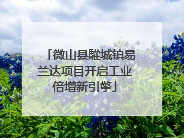 微山县驩城镇易兰达项目开启工业倍增新引擎