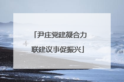 尹庄党建凝合力 联建议事促振兴