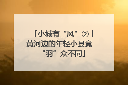 小城有“风”②丨黄河边的年轻小县竟“羽”众不同