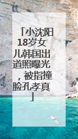 小沈阳18岁女儿韩国出道照曝光，被指撞脸孔孝真