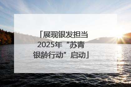 展现银发担当 2025年“苏青银龄行动”启动