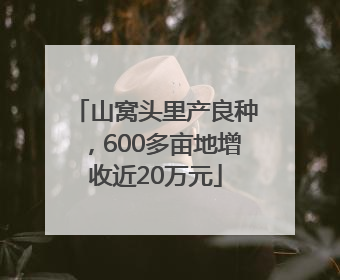 山窝头里产良种，600多亩地增收近20万元