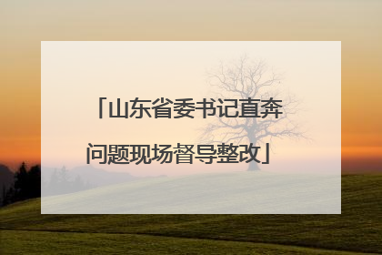 山东省委书记直奔问题现场督导整改