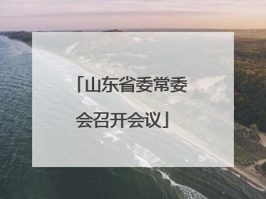 山东省委常委会召开会议