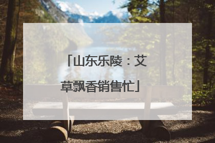 山东乐陵：艾草飘香销售忙