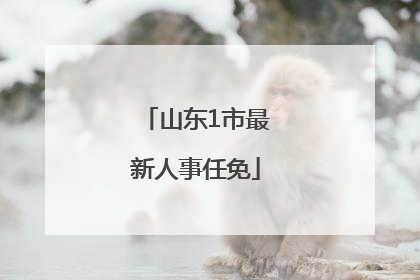 山东1市最新人事任免
