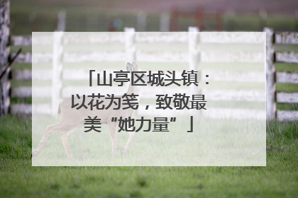 山亭区城头镇：以花为笺，致敬最美“她力量”