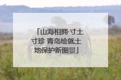 山海相拥·寸土寸珍 青岛绘就土地保护新图景