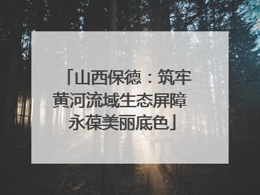 山西保德：筑牢黄河流域生态屏障 永葆美丽底色