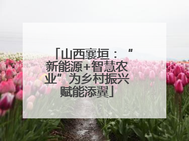 山西襄垣：“新能源+智慧农业”为乡村振兴赋能添翼