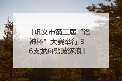 巩义市第三届“洛神杯”大赛举行 36支龙舟劈波逐浪