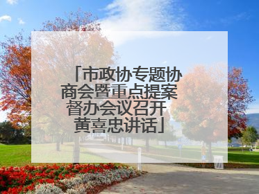 市政协专题协商会暨重点提案督办会议召开 黄喜忠讲话
