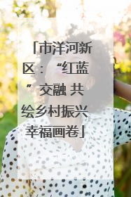 市洋河新区：“红蓝”交融 共绘乡村振兴幸福画卷