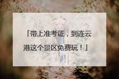 带上准考证，到连云港这个景区免费玩！