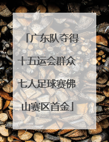 广东队夺得十五运会群众七人足球赛佛山赛区首金