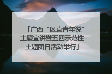 广西“区直青年说”主题宣讲暨五四示范性主题团日活动举行
