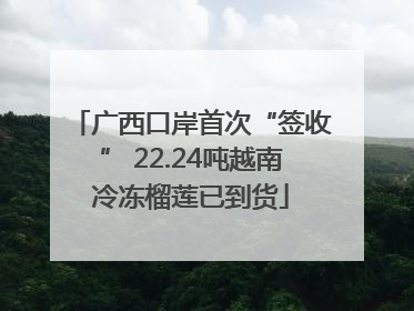 广西口岸首次“签收” 22.24吨越南冷冻榴莲已到货