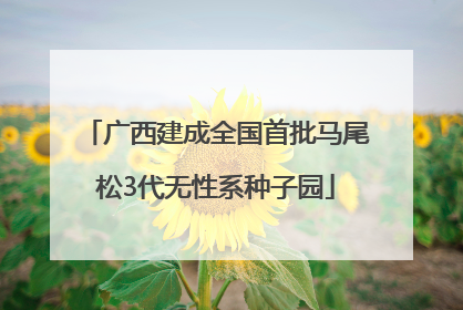 广西建成全国首批马尾松3代无性系种子园