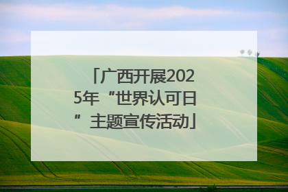 广西开展2025年“世界认可日”主题宣传活动