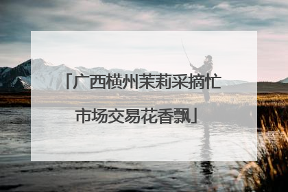 广西横州茉莉采摘忙 市场交易花香飘