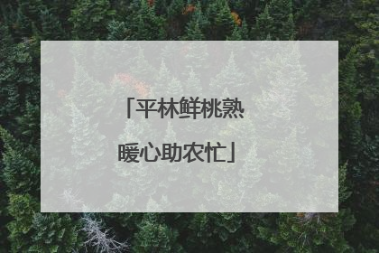 平林鲜桃熟 暖心助农忙