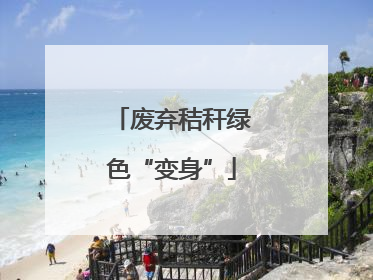 废弃秸秆绿色“变身”