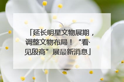 延长明星文物展期，调整文物布局！“看·见殷商”展最新消息