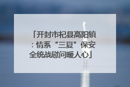 开封市杞县高阳镇：情系“三夏”保安全统战慰问暖人心