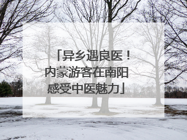 异乡遇良医！内蒙游客在南阳感受中医魅力