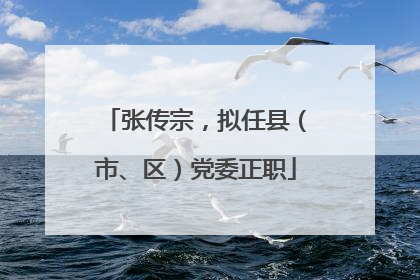 张传宗，拟任县（市、区）党委正职