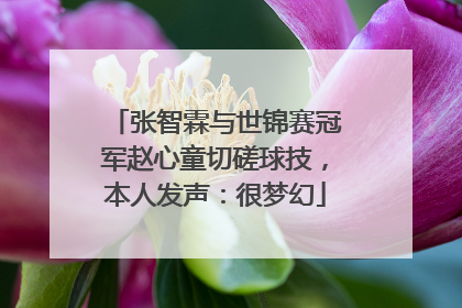 张智霖与世锦赛冠军赵心童切磋球技，本人发声：很梦幻