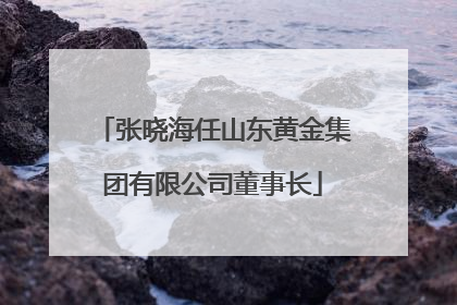 张晓海任山东黄金集团有限公司董事长