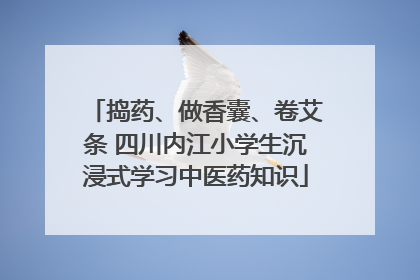 捣药、做香囊、卷艾条 四川内江小学生沉浸式学习中医药知识
