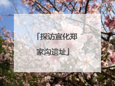 探访宣化郑家沟遗址