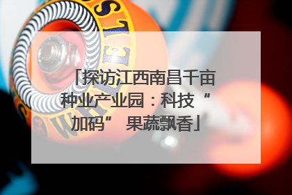 探访江西南昌千亩种业产业园：科技“加码” 果蔬飘香