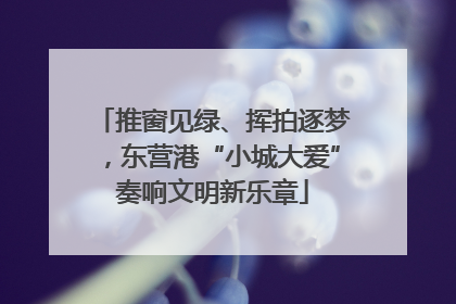 推窗见绿、挥拍逐梦，东营港“小城大爱”奏响文明新乐章