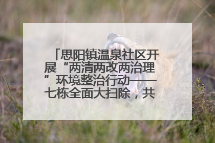 思阳镇温泉社区开展“两清两改两治理”环境整治行动——七栋全面大扫除，共建洁净家园