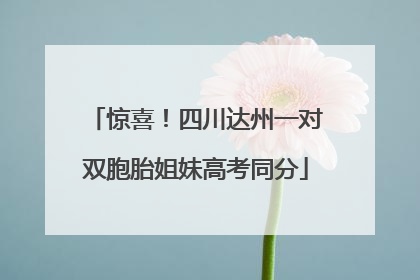 惊喜！四川达州一对双胞胎姐妹高考同分