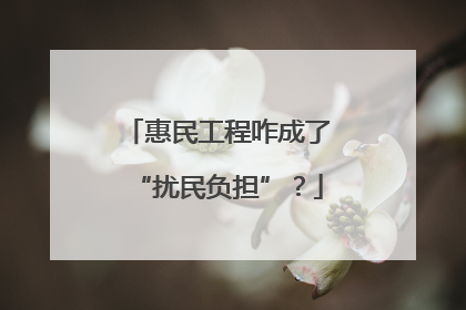 惠民工程咋成了“扰民负担”？