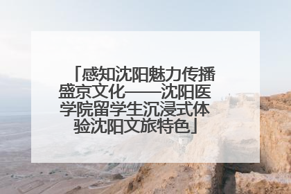 感知沈阳魅力传播盛京文化——沈阳医学院留学生沉浸式体验沈阳文旅特色