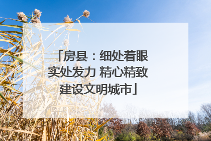 房县：细处着眼 实处发力 精心精致建设文明城市
