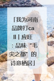 我为河南品牌打call丨应旺：品味“毛尖之都”的诗意栖居