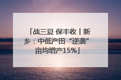 战三夏 保丰收丨新乡：中低产田“逆袭” 亩均增产15%