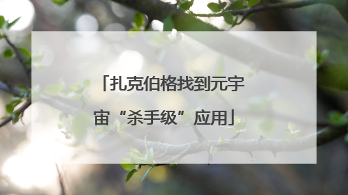 扎克伯格找到元宇宙“杀手级”应用