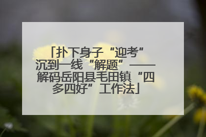 扑下身子“迎考” 沉到一线“解题”——解码岳阳县毛田镇“四多四好”工作法